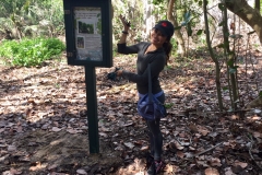2018 Beach Clean Up and Trail Building (7)